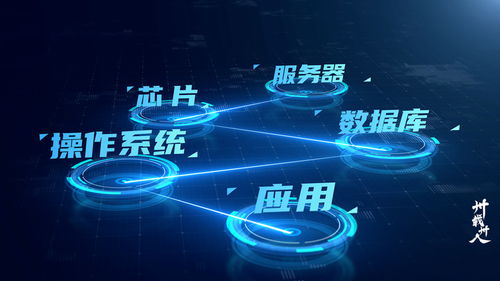 东吴证券信息技术总部 业技融合，开启数字化加速度——卅载卅人第6期数字技术服务篇